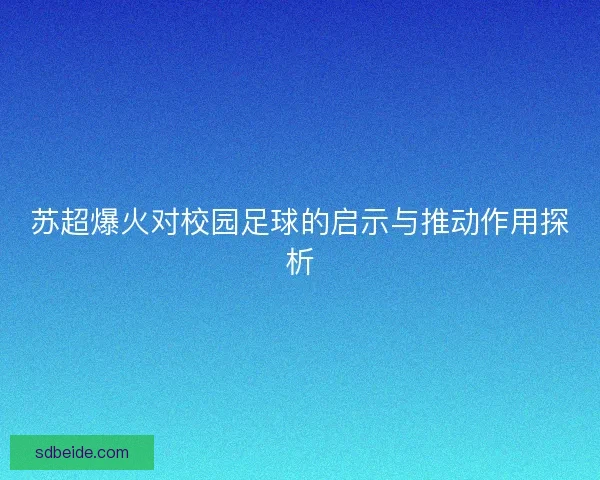 苏超爆火对校园足球的启示与推动作用探析
