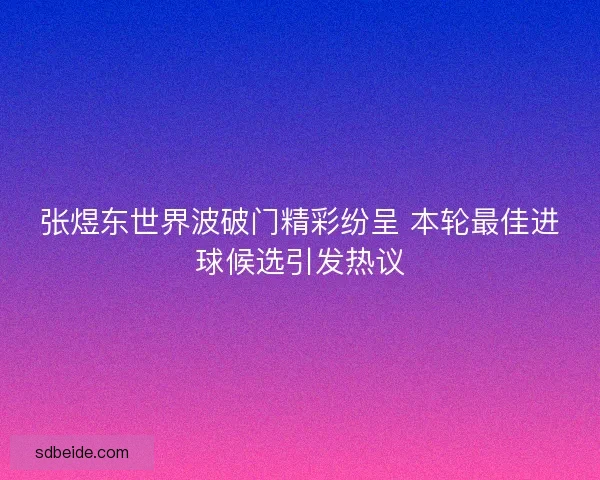 张煜东世界波破门精彩纷呈 本轮最佳进球候选引发热议